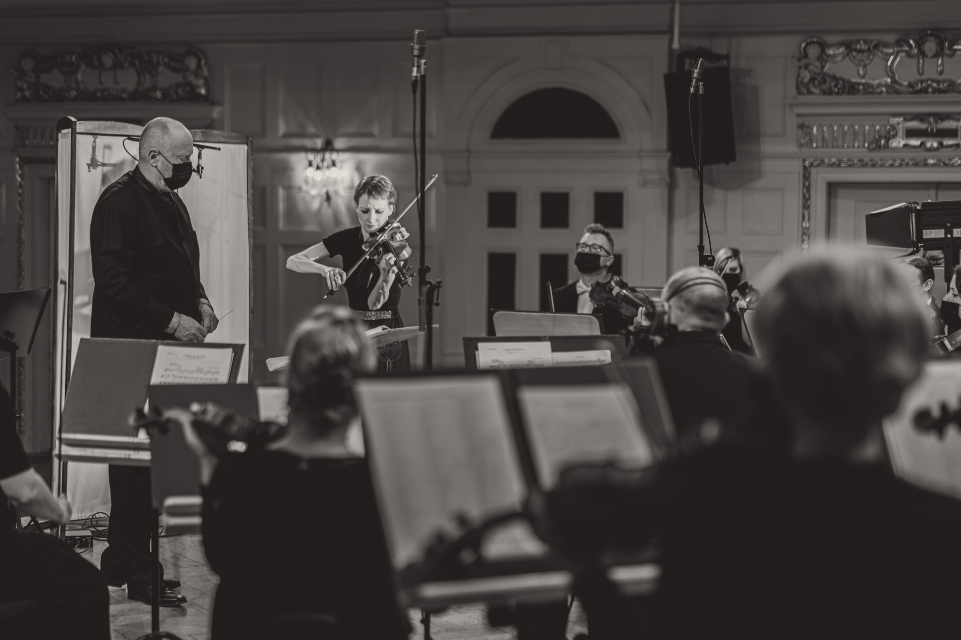 Picture -  Competition Finalists | the numbering of the violins in Stage 3
