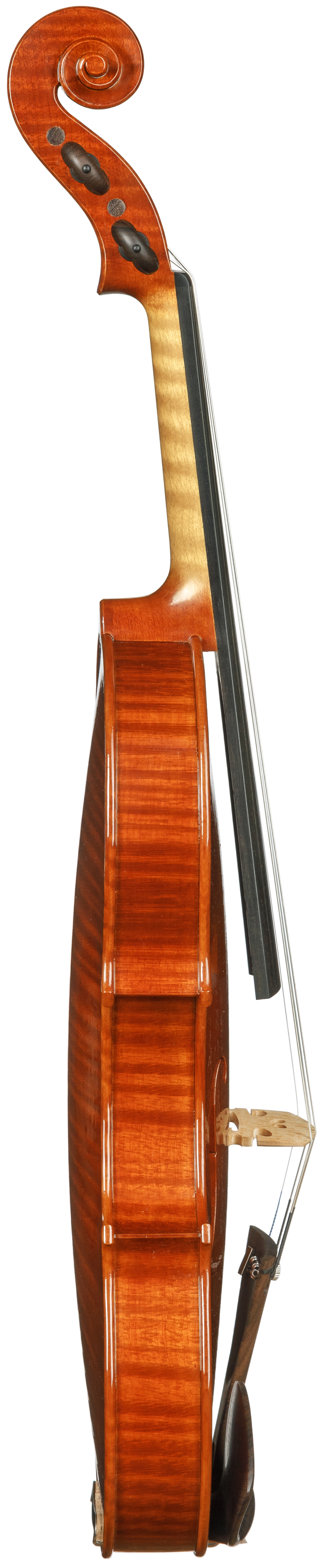 ORAVIA - Paweł Kubacka - Henryk Wieniawski Musical Society of Poznan