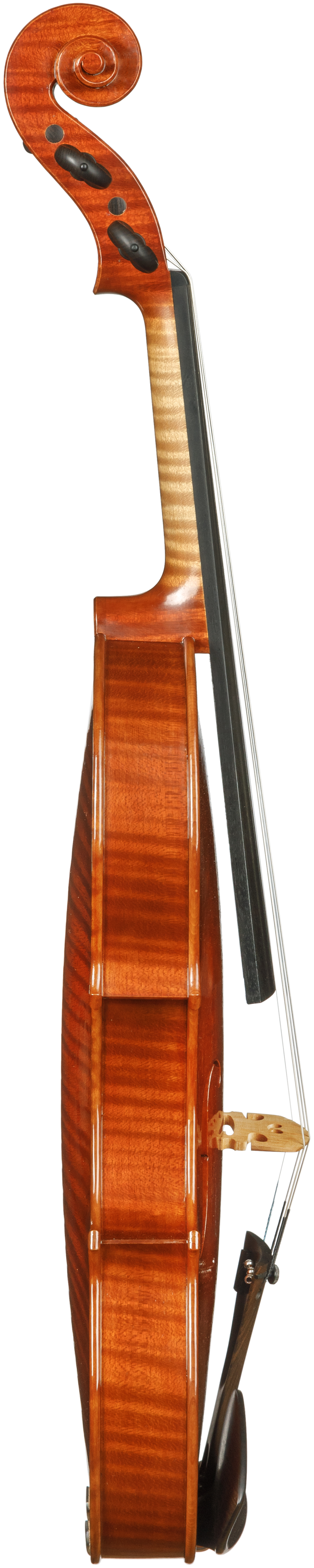 ARVA - Paweł Kubacka - Henryk Wieniawski Musical Society of Poznan