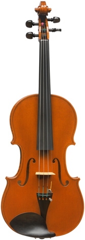 DONUM Henryk Wieniawski Musical Society of Poznan