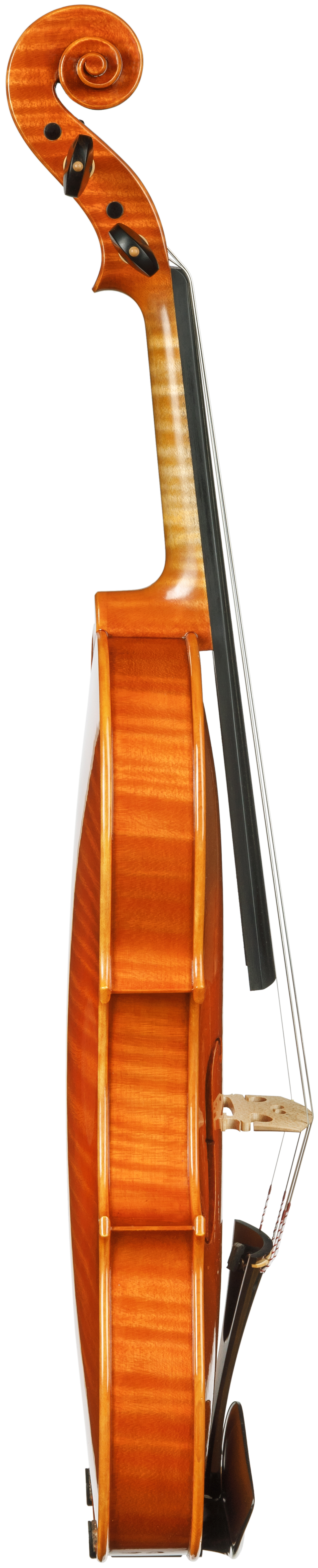 MIXX - Michał Różak - Towarzystwo Muzyczne im. Henryka Wieniawskiego w Poznaniu