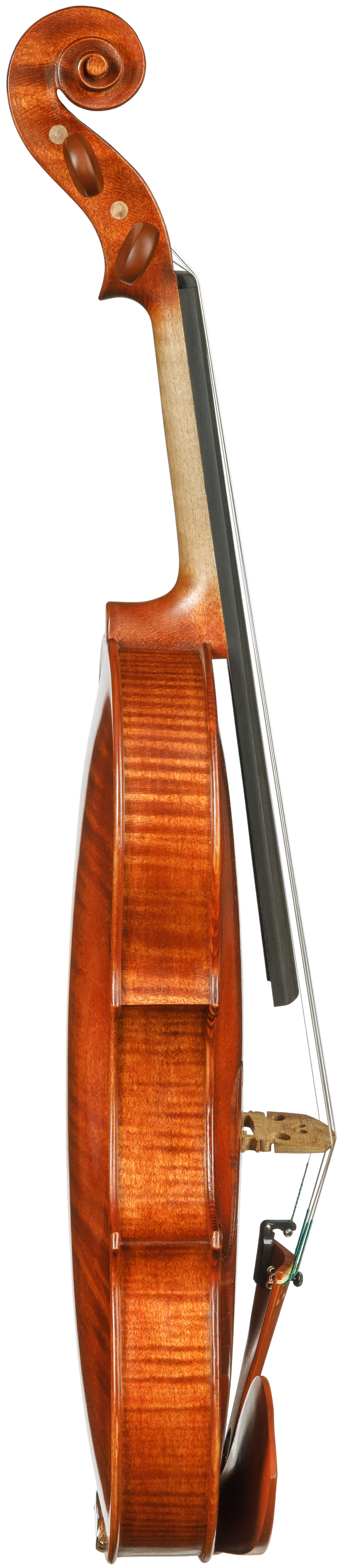 ŚWIATŁO - Marek Rogal - Towarzystwo Muzyczne im. Henryka Wieniawskiego w Poznaniu