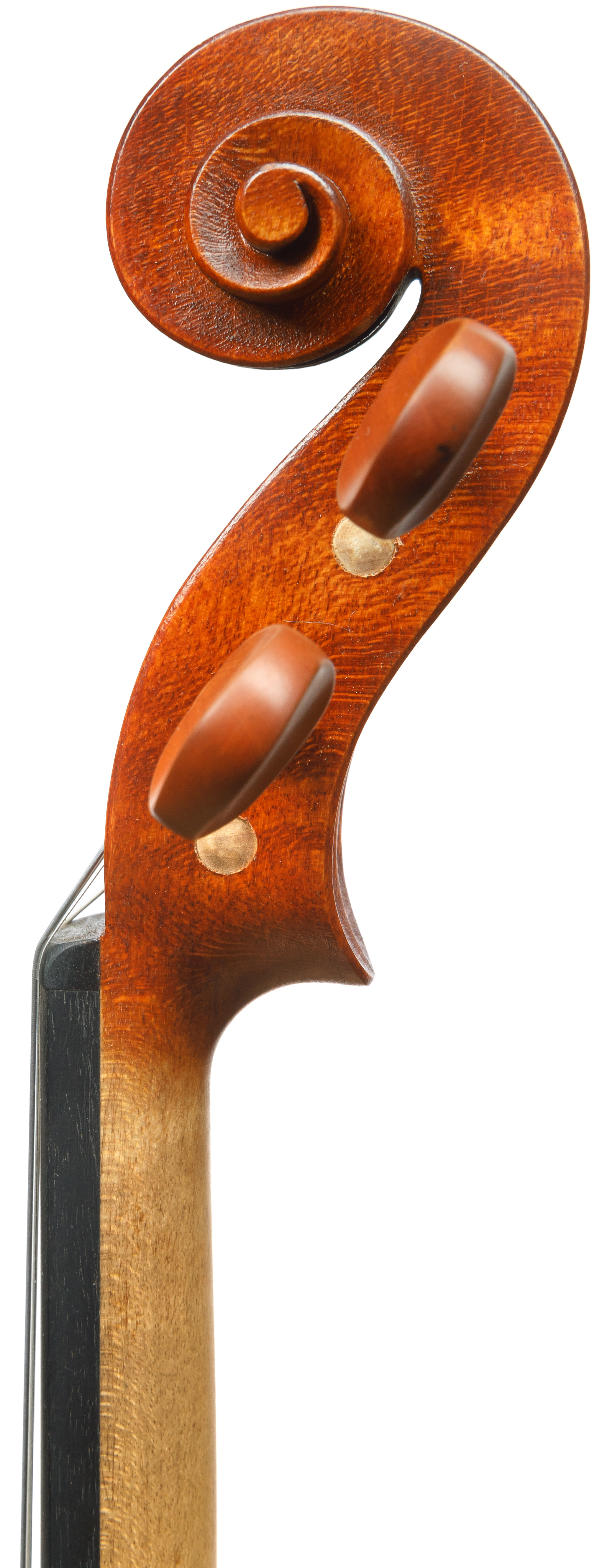 ŚWIATŁO - Marek Rogal - Towarzystwo Muzyczne im. Henryka Wieniawskiego w Poznaniu