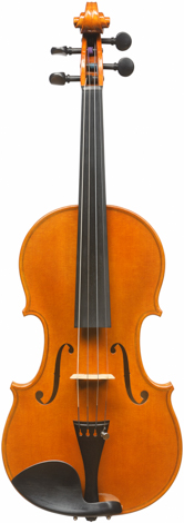 ALBA Henryk Wieniawski Musical Society of Poznan
