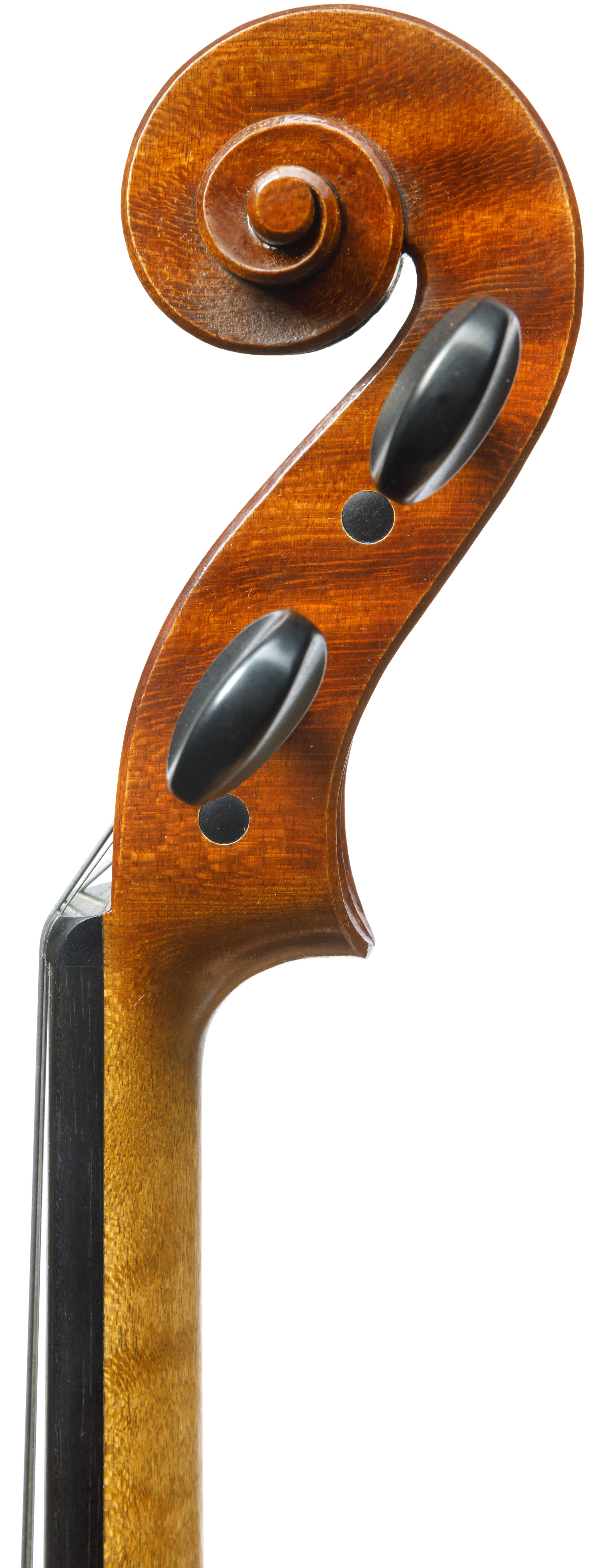 MOESTIE - Maarten De Keukeleire - Towarzystwo Muzyczne im. Henryka Wieniawskiego w Poznaniu