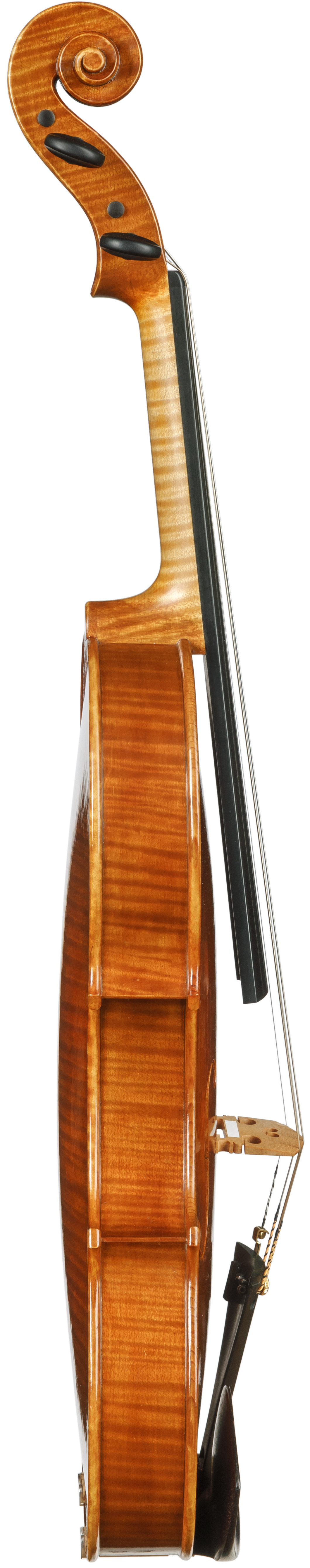 BIZON - Jacek Wesołowski - Henryk Wieniawski Musical Society of Poznan