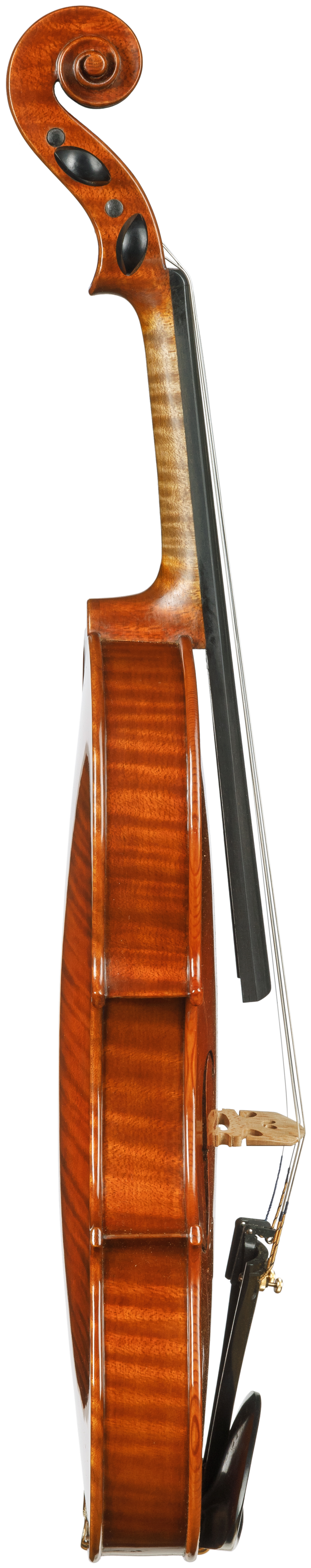 DEXTRE - Bartłomiej Dankiewicz - Henryk Wieniawski Musical Society of Poznan
