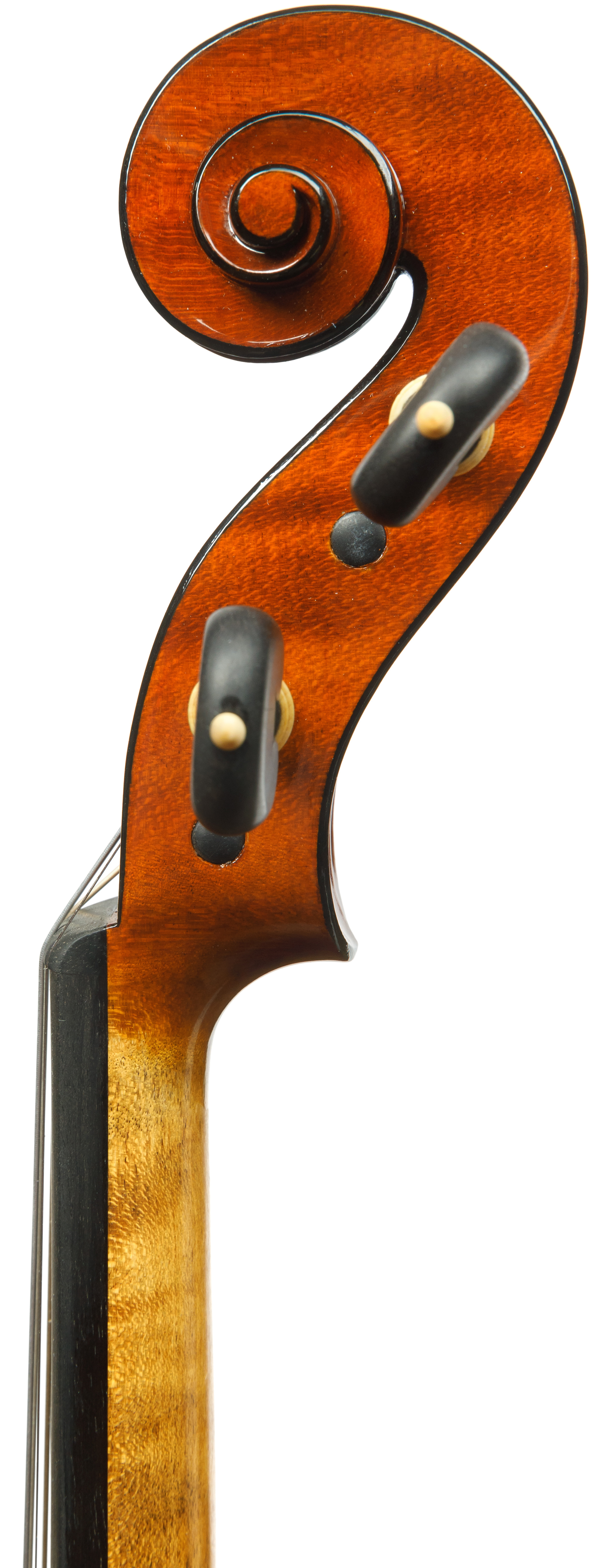 SOLE - Georgi Nikolov - Henryk Wieniawski Musical Society of Poznan