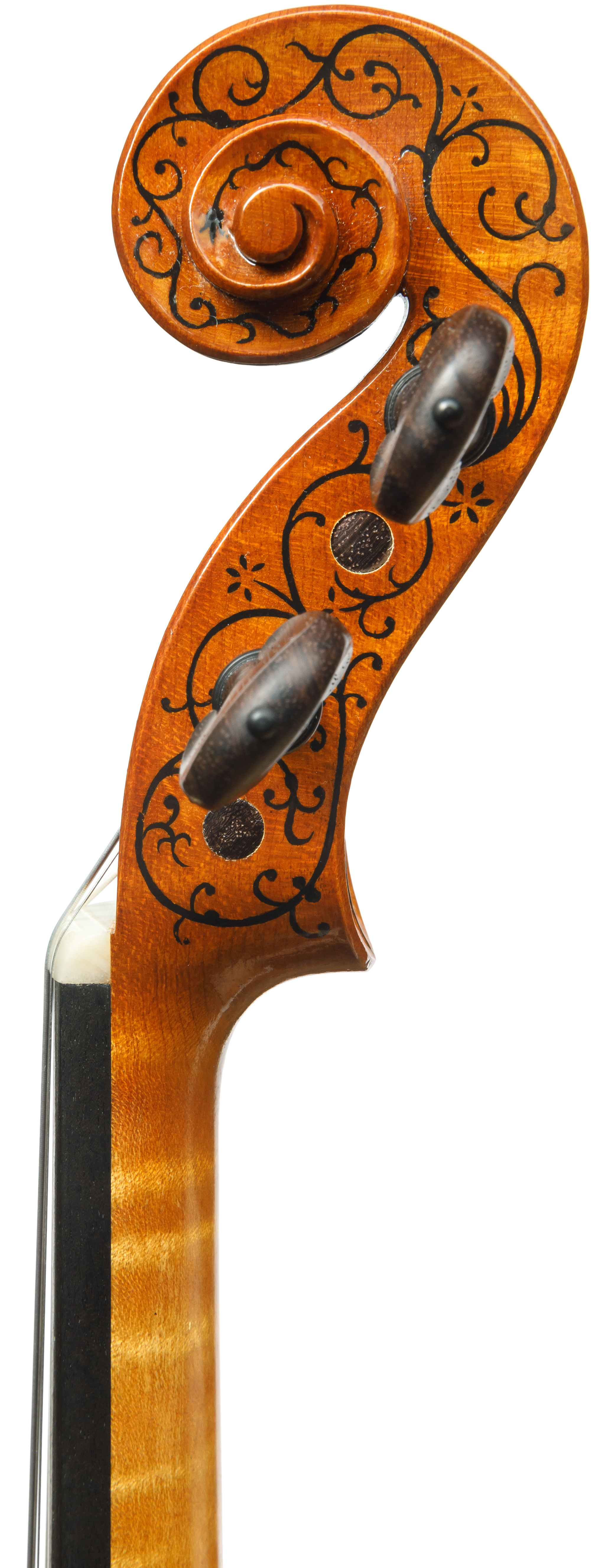 MARIANNE - Klemens Siatkowski - Towarzystwo Muzyczne im. Henryka Wieniawskiego w Poznaniu