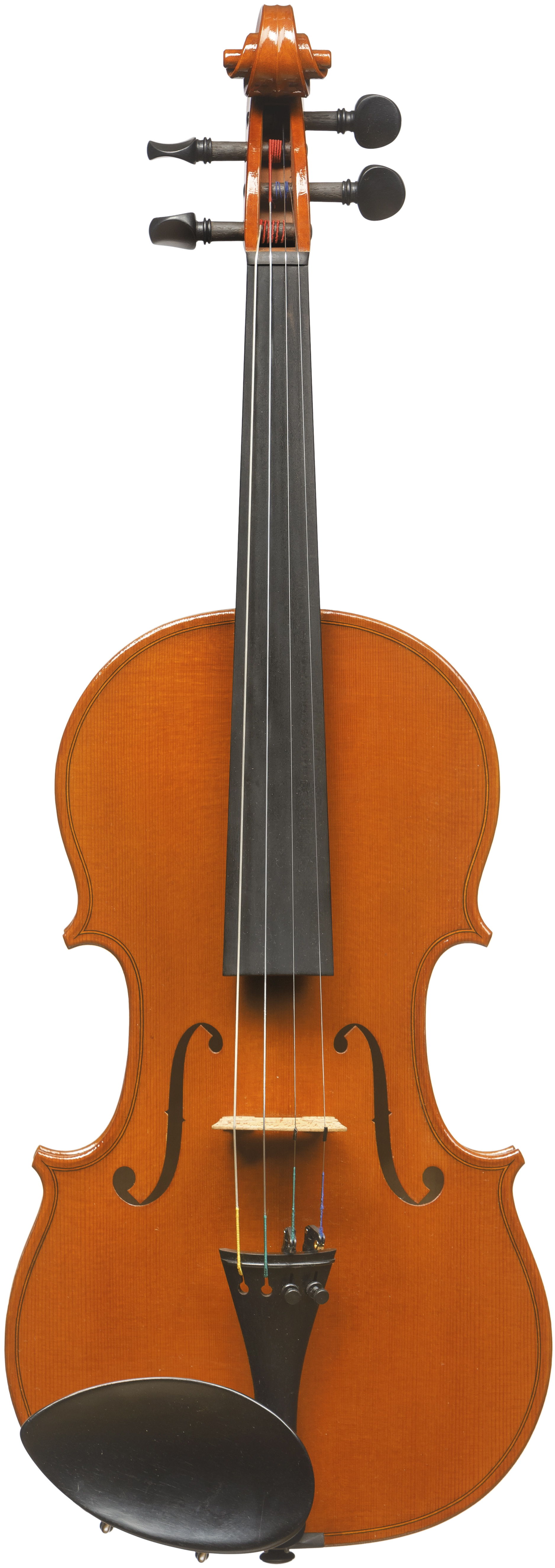 SPRING - Wiktoria Rzechówka - Henryk Wieniawski Musical Society of Poznan