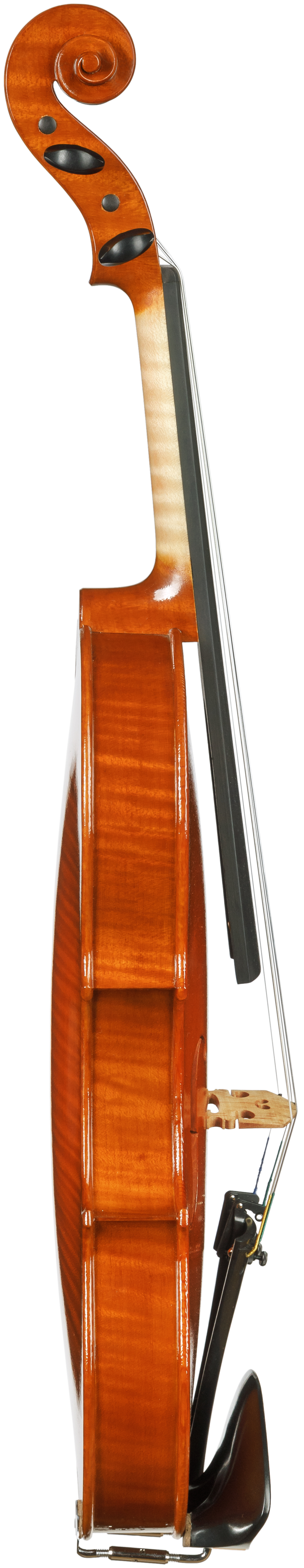 SPRING - Wiktoria Rzechówka - Henryk Wieniawski Musical Society of Poznan