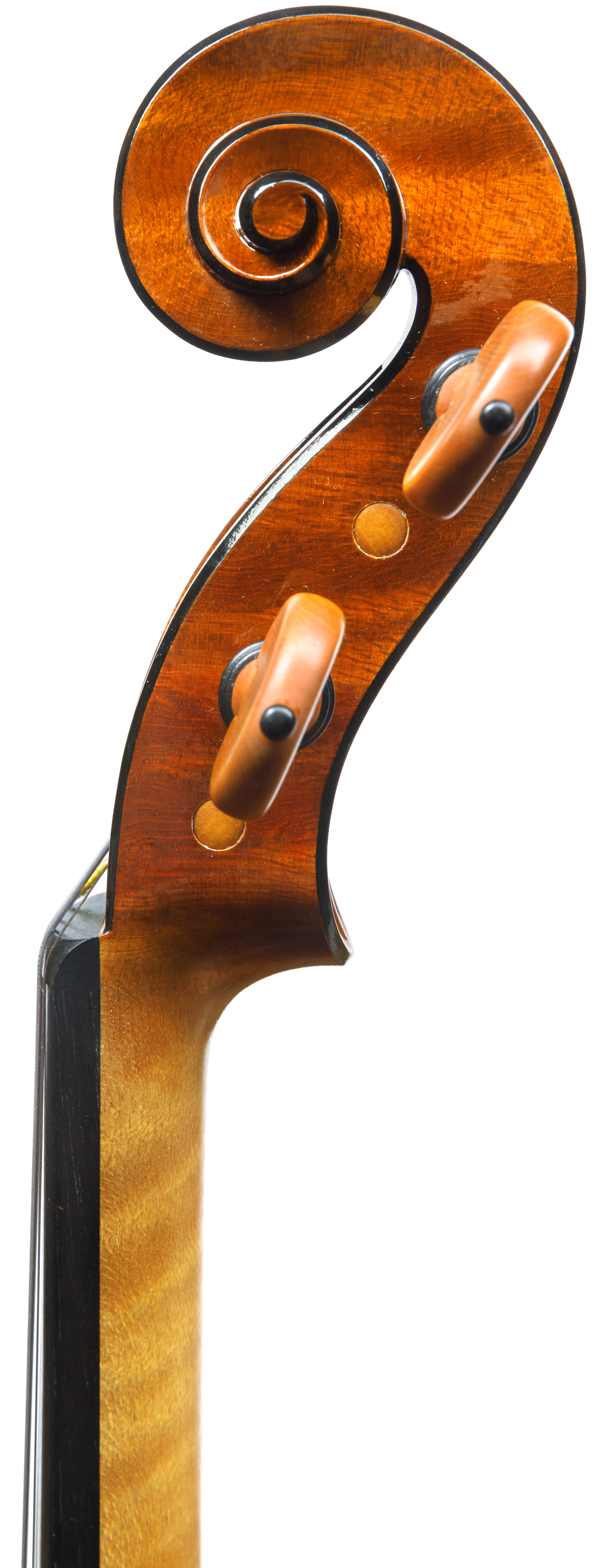DALI - Piotr Pielaszek - Henryk Wieniawski Musical Society of Poznan