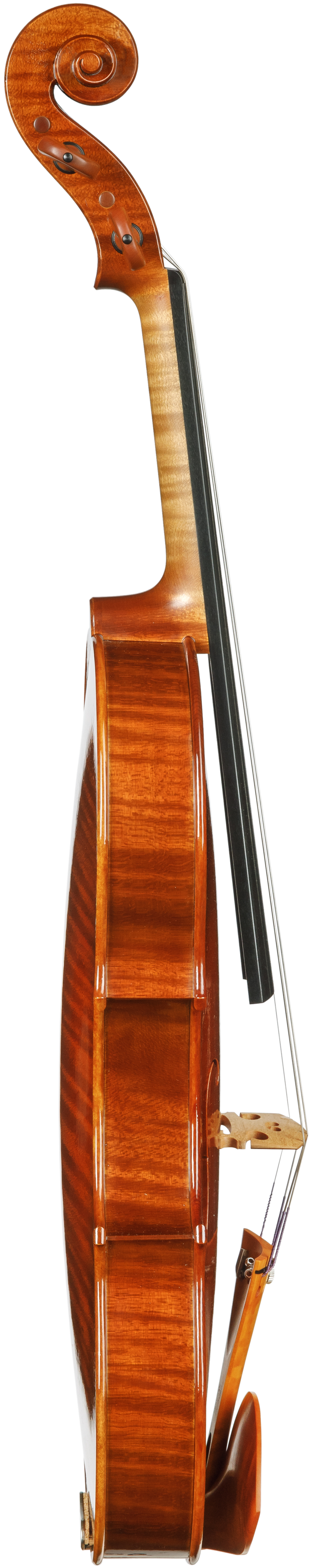 SELVA - Piotr Pielaszek - Towarzystwo Muzyczne im. Henryka Wieniawskiego w Poznaniu