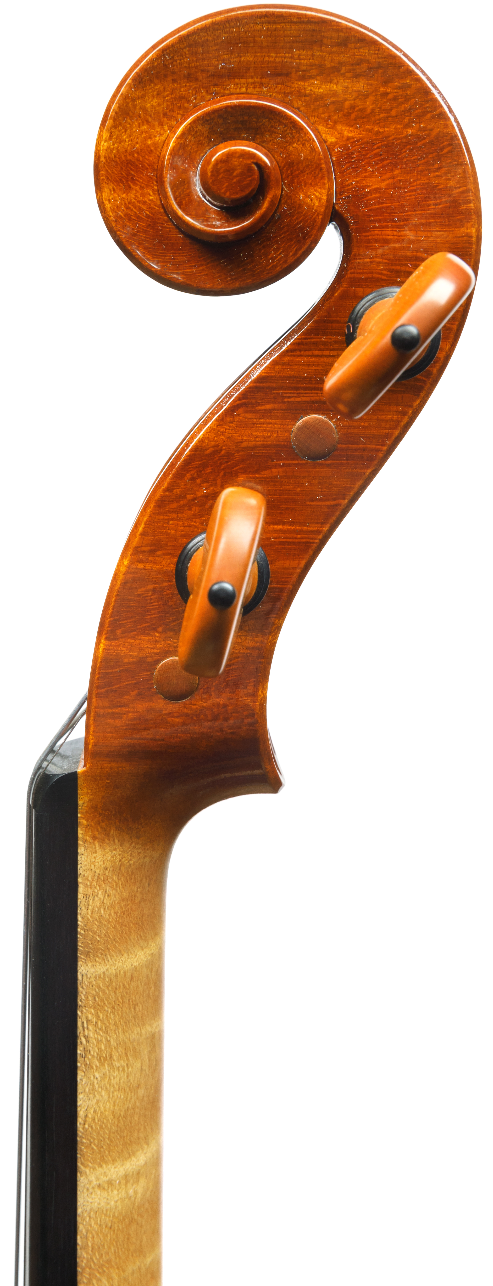 SELVA - Piotr Pielaszek - Towarzystwo Muzyczne im. Henryka Wieniawskiego w Poznaniu